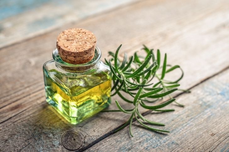 Here you will find all the properties and benefits of rosemary essential oil.