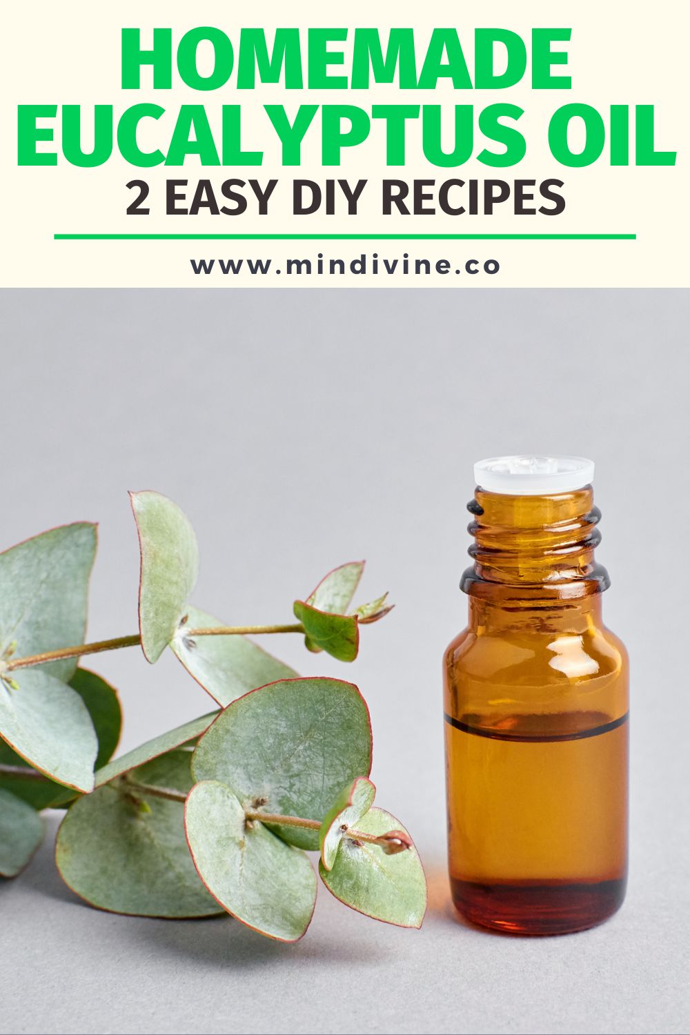 How to make eucalyptus oil with homemade recipes.