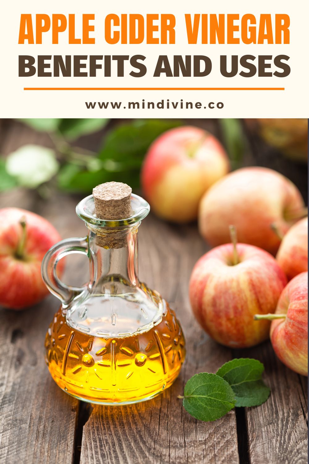 Discover everything you need to know about apple cider vinegar.