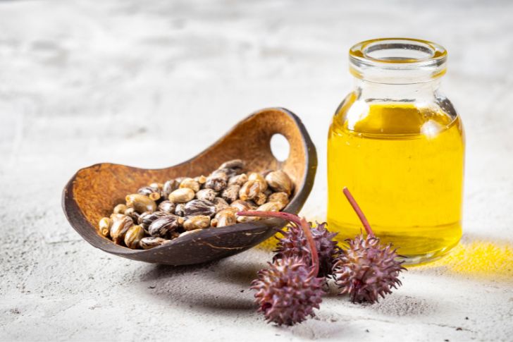Castor oil, fruits and seeds - Ricinus communis