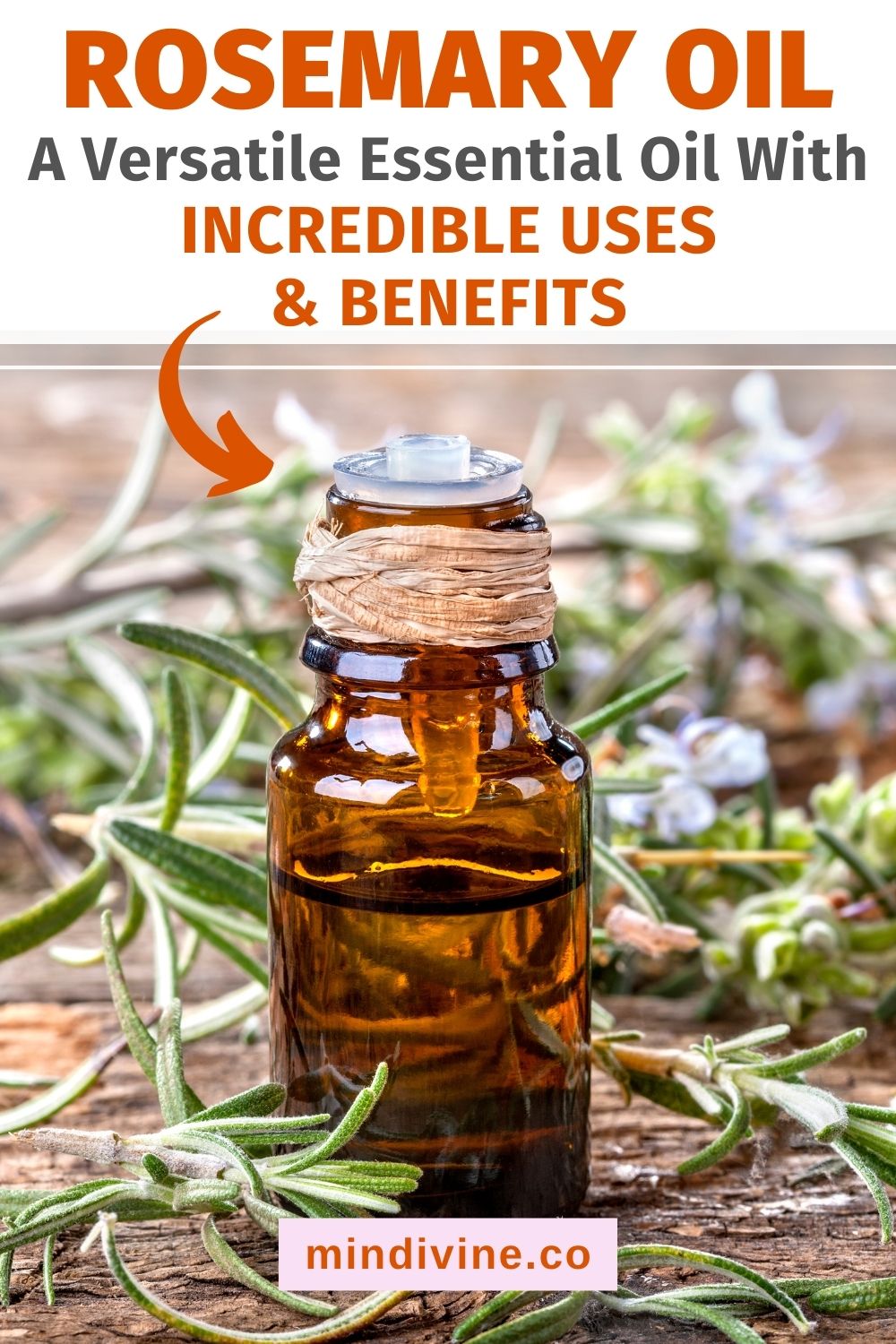 rosemary essential oil benefits uses P 1