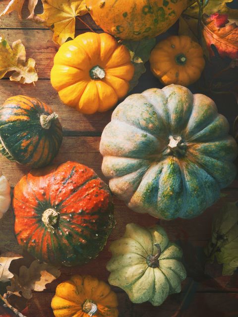 Reconsidering Halloween Pumpkins for a Seasonal Vibe