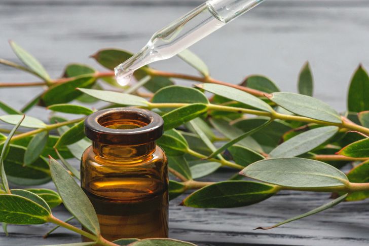 Eucalyptus oil in the bottle and a tee eucalyptus tree branch with leaves close up