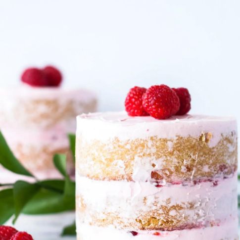 Raspberry Vanilla Mini Cakes